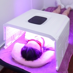 Cheap Price Facial And Body New Beauty SPA Skin Care PDT LED Bio-Light Therapy Skin Whitening Reduce Acne Print