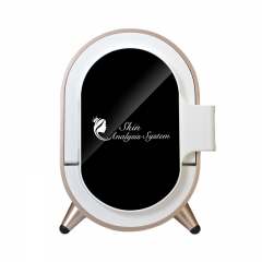 Factory SPA Portable Smart Magic Mirror 3D High Pixel Facial Skin Analyzer Machine