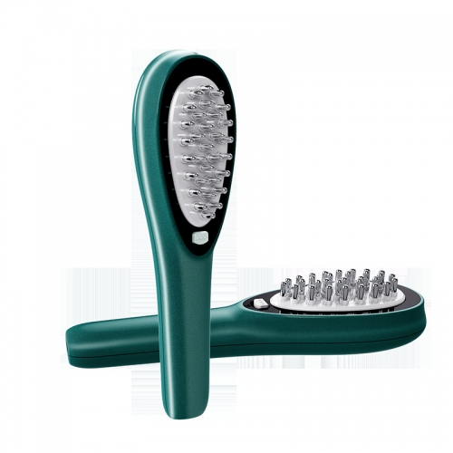 Hair Growth Care Electric EMS Massage Comb Anti-hair Loss Vibration Brush Scalp Hair Growth Comb